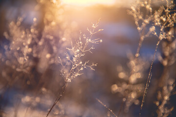 宁夏静安房地产有限公司
