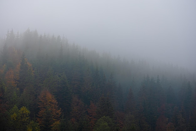 房产税与房地产税：一字之“遥”